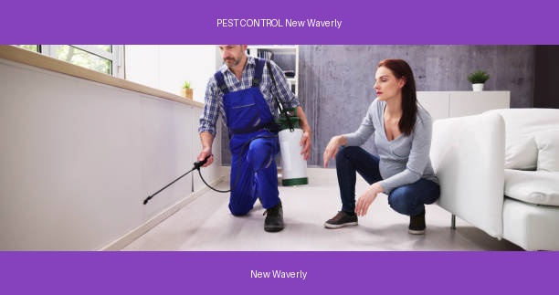 PEST CONTROL New Waverly